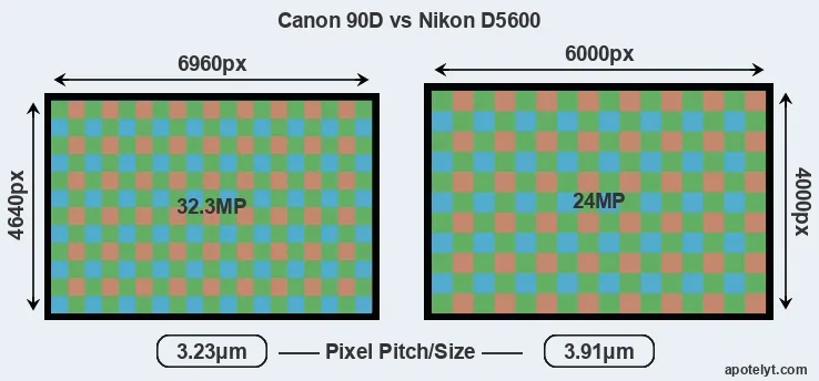 90D versus D5600 MP