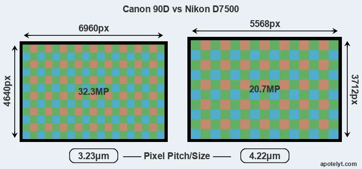 90D versus D7500 MP