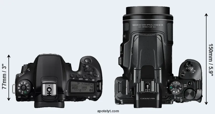 Compare 90D versus P950 top