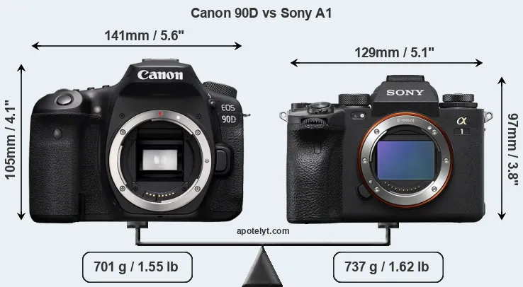 Size Canon 90D vs Sony A1