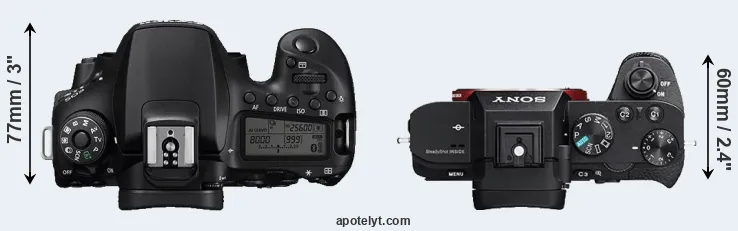 Compare 90D versus A7R II top