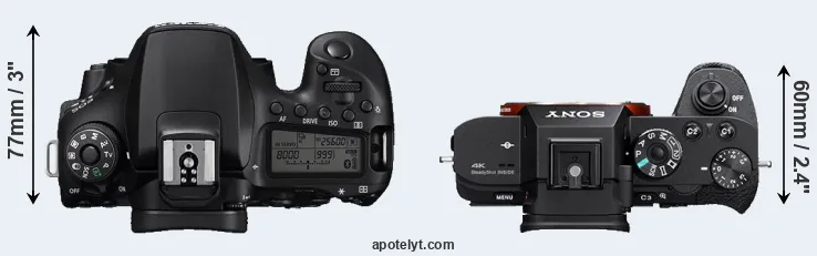 Compare 90D versus A7S II top