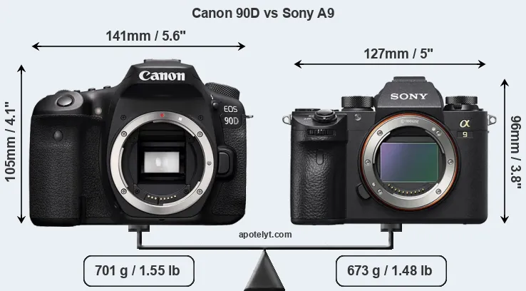 Size Canon 90D vs Sony A9