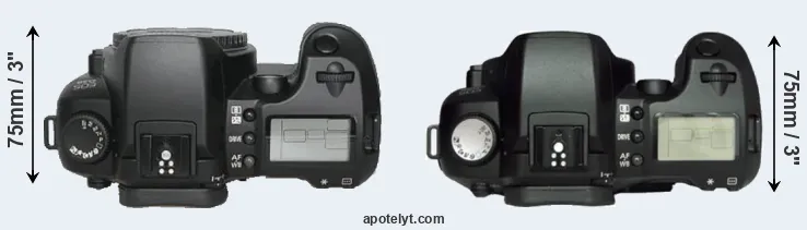 Compare D30 versus D60 top