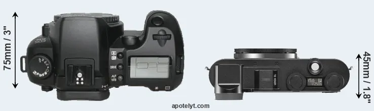 Compare D30 versus CL top