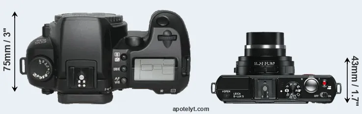 Compare D30 versus D-LUX 5 top