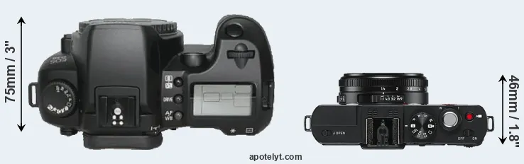 Compare D30 versus D-LUX 6 top
