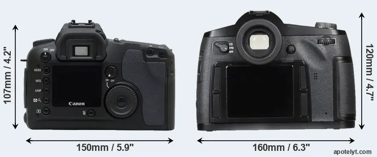 Comparison D30 or S Typ 007 rear
