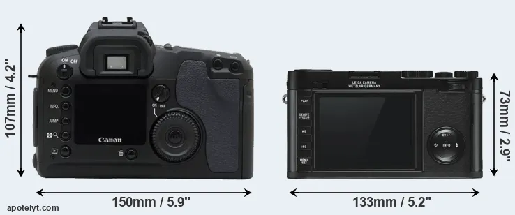 Comparison D30 or X Typ 113 rear