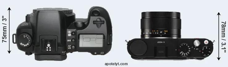 Compare D30 versus X Typ 113 top