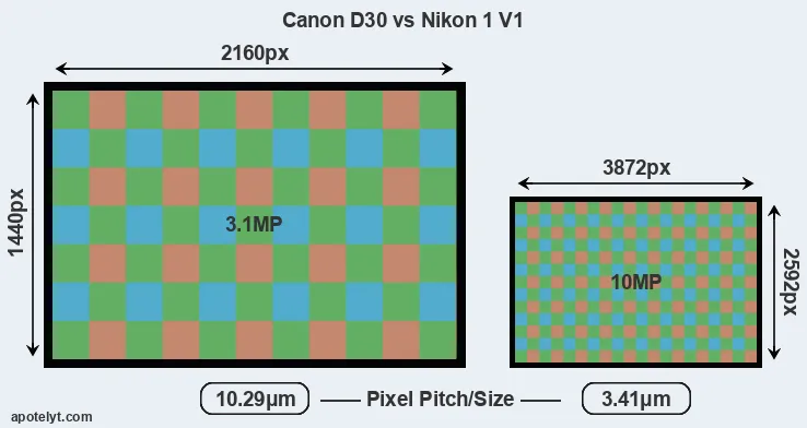 D30 versus V1 MP