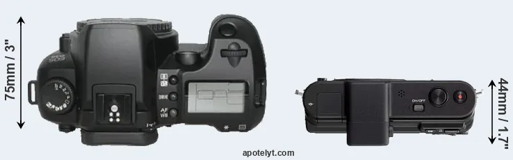 Compare D30 versus V1 top