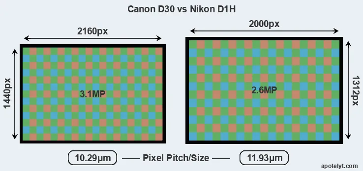 D30 versus D1H MP