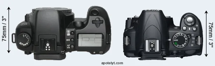 Compare D30 versus D3100 top