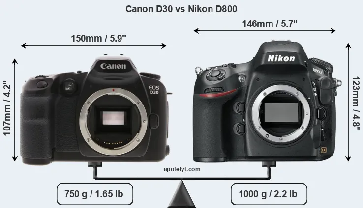 Size Canon D30 vs Nikon D800