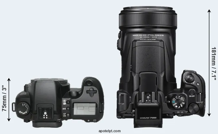 Compare D30 versus P1000 top