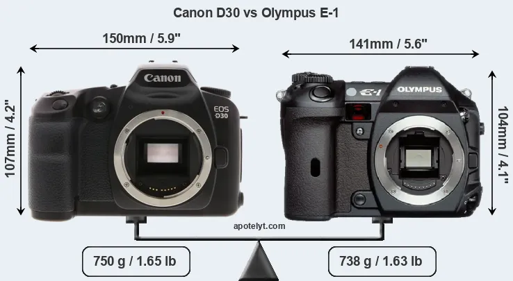 Size Canon D30 vs Olympus E-1