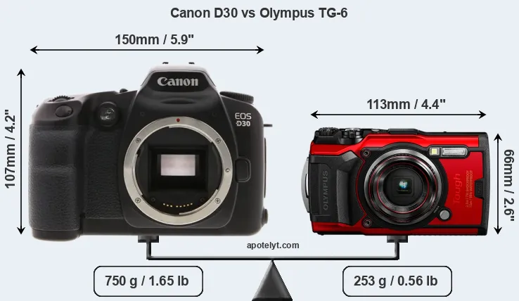 Size Canon D30 vs Olympus TG-6
