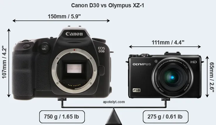 Size Canon D30 vs Olympus XZ-1