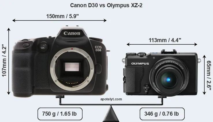 Size Canon D30 vs Olympus XZ-2