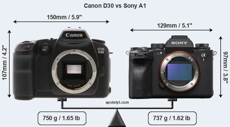 Size Canon D30 vs Sony A1