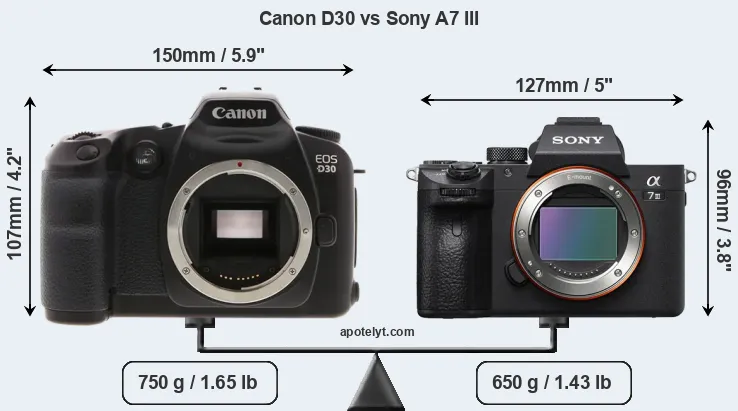 Size Canon D30 vs Sony A7 III