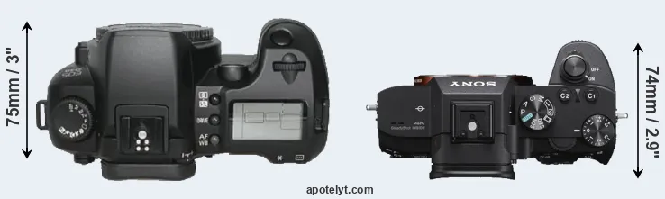 Compare D30 versus A7 III top