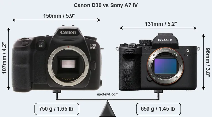 Size Canon D30 vs Sony A7 IV
