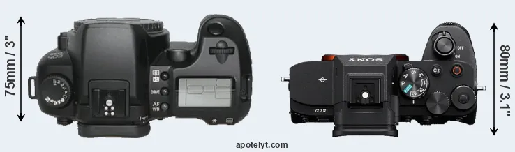 Compare D30 versus A7 IV top