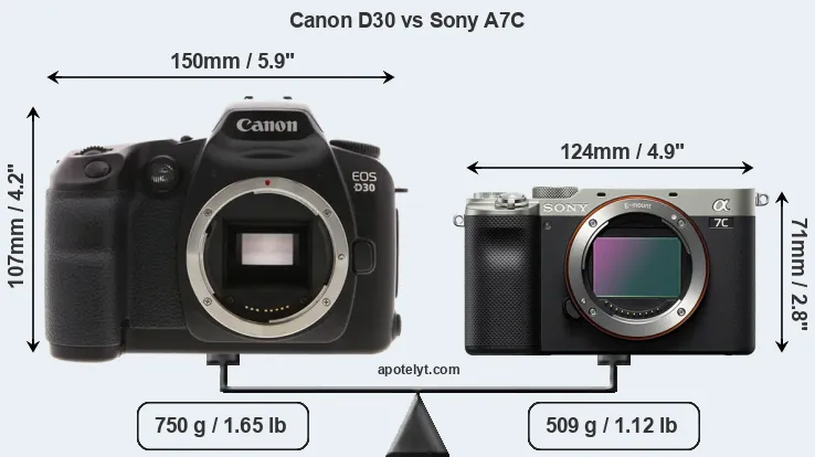 Size Canon D30 vs Sony A7C