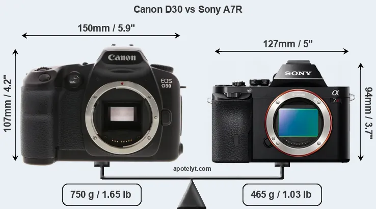 Size Canon D30 vs Sony A7R