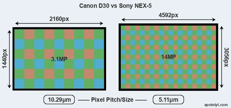 D30 versus NEX-5 MP