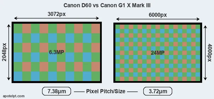 D60 versus G1X Mark III MP