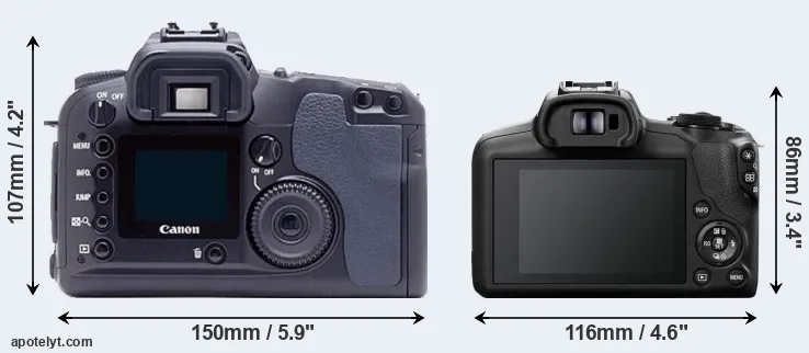 Comparison D60 or R100 rear