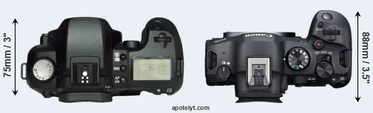Compare D60 versus R6 Mark II top