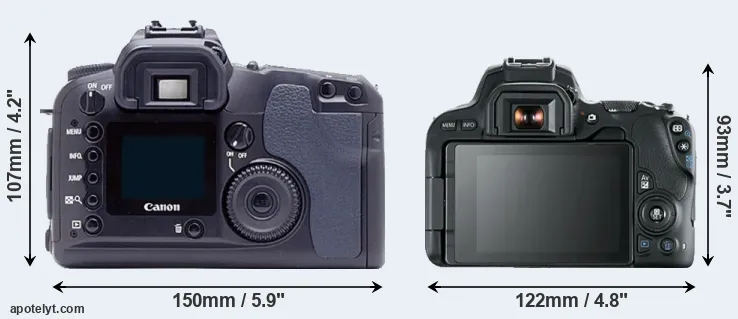 Comparison D60 or SL2 rear