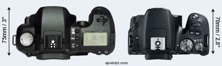 Compare D60 versus SL2 top
