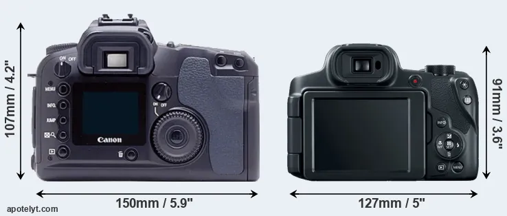 Comparison D60 or SX70 rear