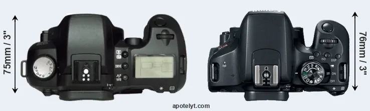 Compare D60 versus T7i top