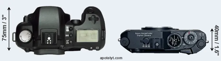 Compare D60 versus R-D1 top