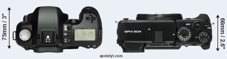 Compare D60 versus GFX 50R top
