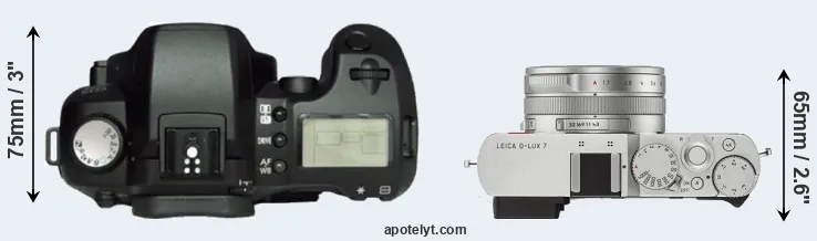 Compare D60 versus D-LUX 7 top