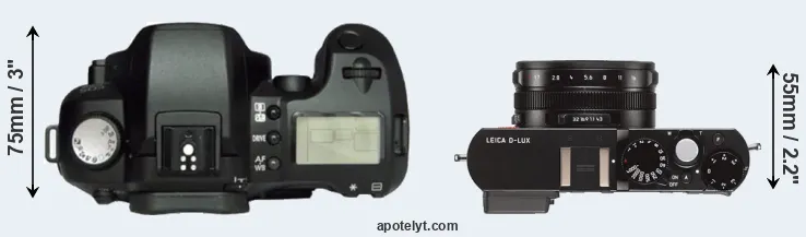 Compare D60 versus D-LUX Typ 109 top