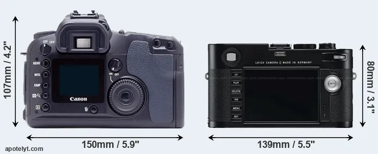 Comparison D60 or M Typ 240 rear