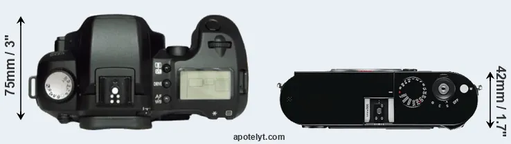 Compare D60 versus M Typ 240 top