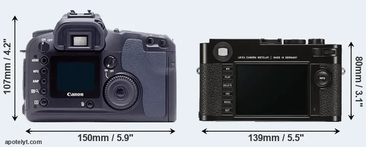 Comparison D60 or M Typ 262 rear