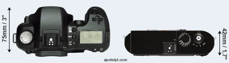 Compare D60 versus M Typ 262 top