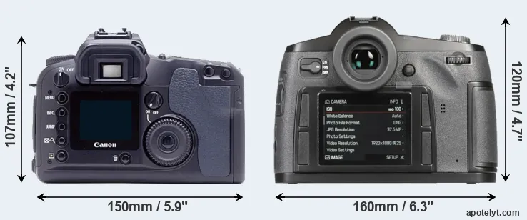 Comparison D60 or S-E Typ 006 rear