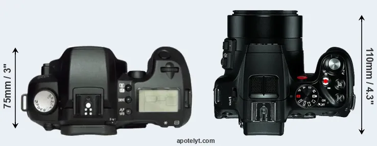 Compare D60 versus V-LUX 4 top