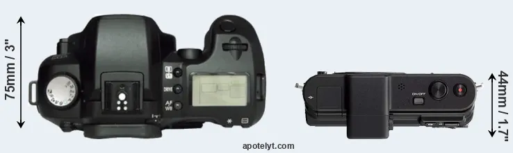 Compare D60 versus V1 top